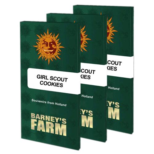 BARNEY'S FARM - GIRL SCOUT COOKIES FEM - 1 SEME