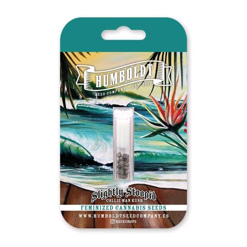 HUMBOLDT SEED COMPANY - SLIGHTLY STOOPID COLLIE MAN KUSH FEM - 10 SEMI