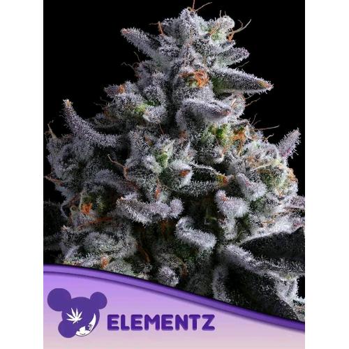 ANESIA SEEDS - ELEMENTZ FEM - 3 SEMI