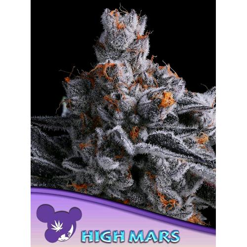 ANESIA SEEDS - HIGH MARS FEM - 10 SEMI
