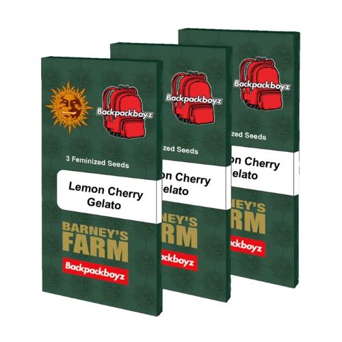 BARNEY'S FARM X BACKPACKBOYZ - LEMON CHERRY GELATO - 5 SEMI