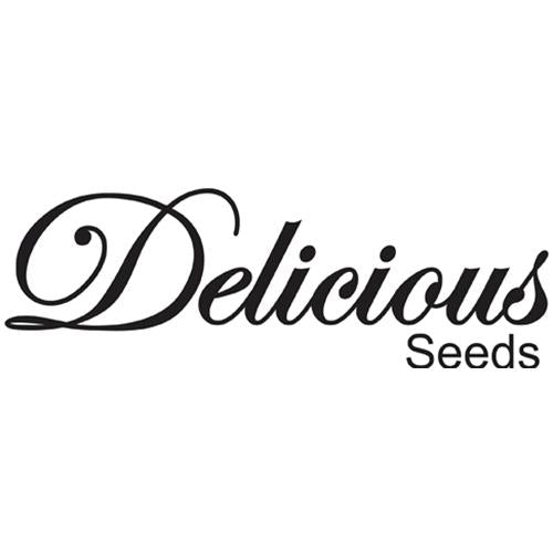 DELICIOUS SEEDS - DELICIOUS CANDY REGOLARE 15 SEMI