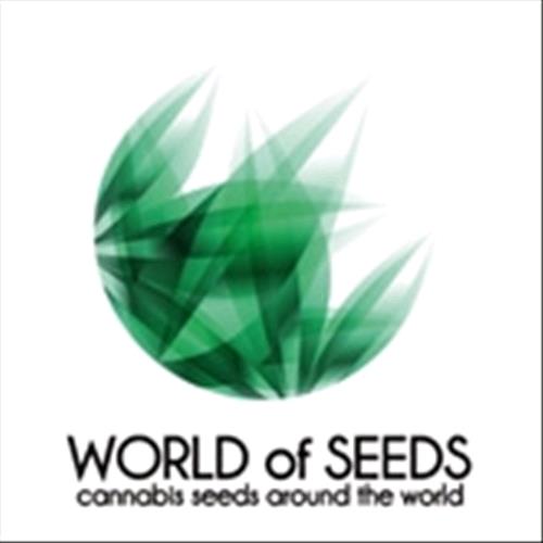 WORLD OF SEEDS - AMNESIA RYDER AUTO 3 SEEDS