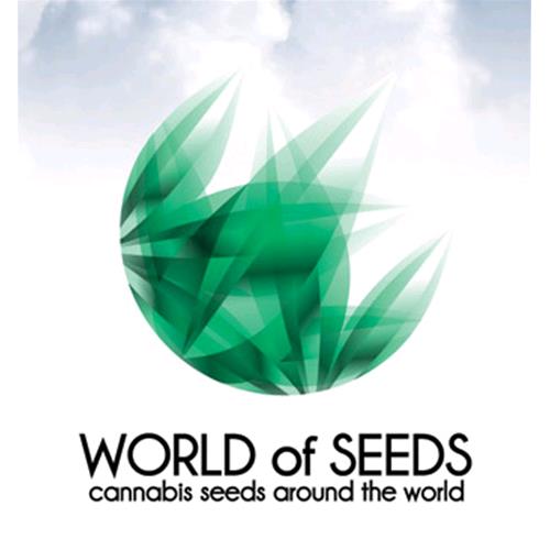 WORLD OF SEEDS - KETAMA FEM 3 SEEDS - PURE ORIGINAL COLLECTION