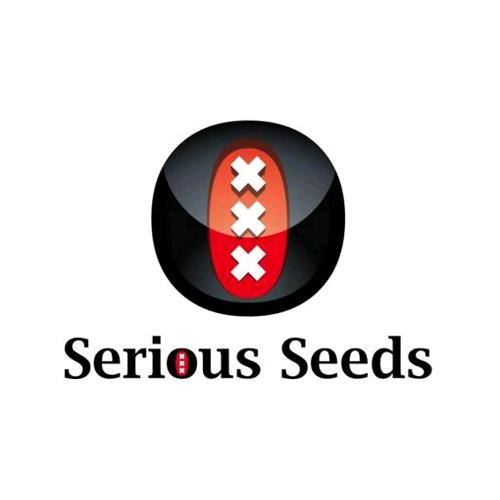 SERIOUS SEEDS - STRAWBERRY AKEIL - 6 SEMI