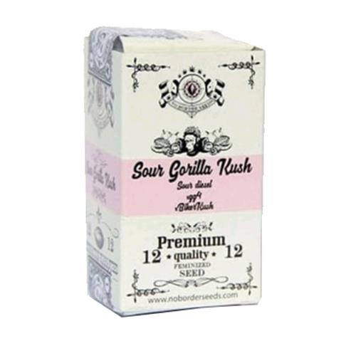 NO BORDER SEEDS - SOURGORILLAKUSH - 6 SEMI - PREMIUM QUALITY