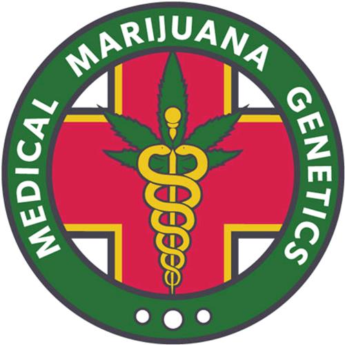 MEDICAL MARIJUANA GENETICS - ORINOCO - 3 SEMI