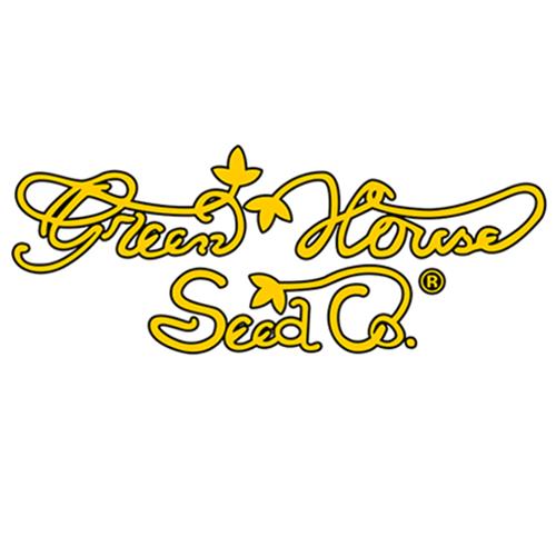 FINO AD ESAURIMENTO SCORTE GREEN HOUSE - THE CHURCH CBD - 10 SEMI