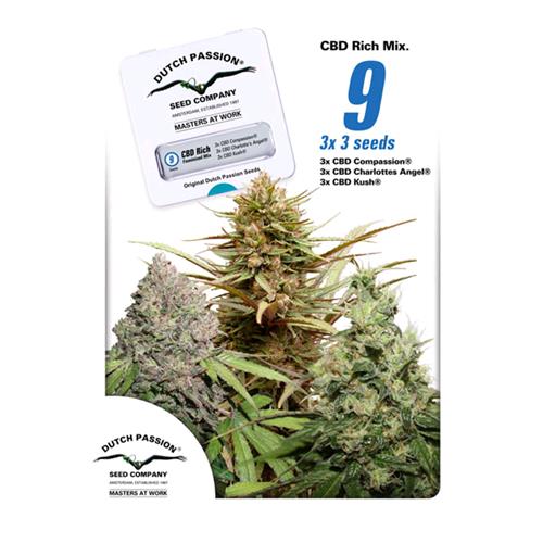 DUTCH PASSION - CBD RICH FEMMINIZZATA MIX