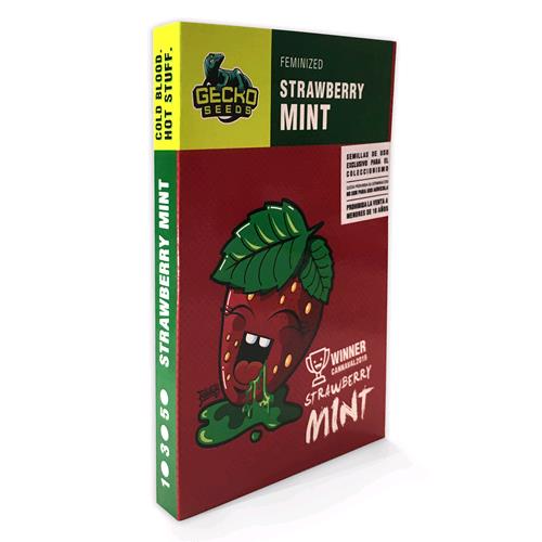 GECKO SEEDS - STRAWBERRY MINT FEM - 3 SEMI