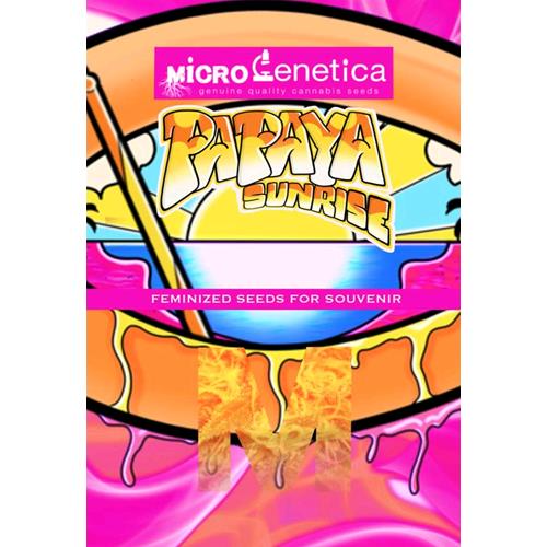 MICROGENETICA - PAPAYA SUNRISE FEM - 3 SEMI