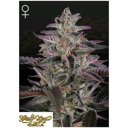 GREEN HOUSE - BANANA KRUMBLE FEM - 3 SEMI