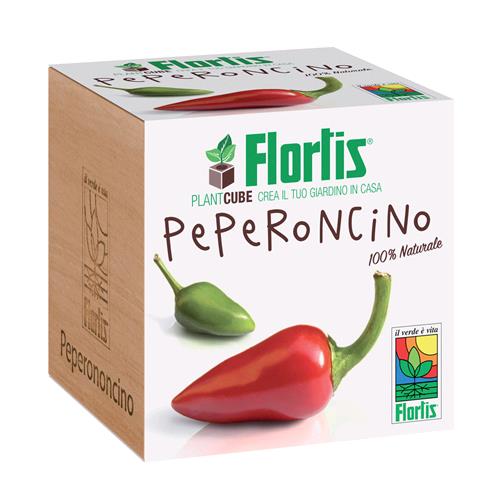 FLORTIS - PLANTACUBE - PEPERONCINO