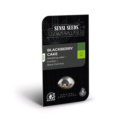 SENSI SEEDS - BLACKBERRY CAKE FEMMINIZZATA - RESEARCH - 3 SEMI