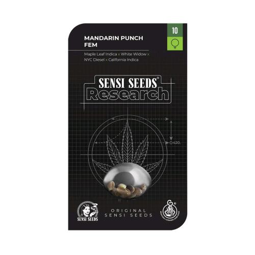 SENSI SEEDS - MANDARINE PUNCH FEMMINIZZATA - RESEARCH - 10 SEMI