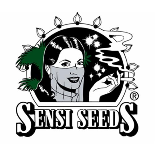 FINO A ESAURIMENTO SCORTE SENSI SEEDS - MICHKA FEMMINIZZATA - 3 SEMI