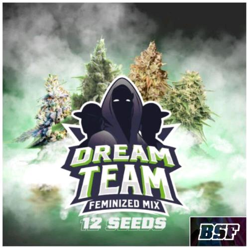BSF - DREAM TEAM FEM MIX - PACK 12 SEMI