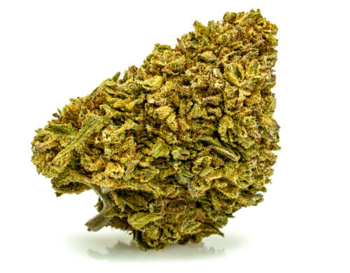 GORILLA GLUE