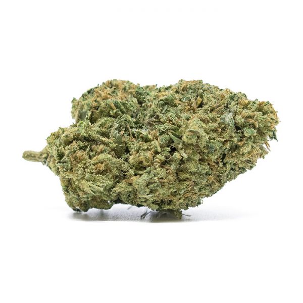 Snoop Dogg