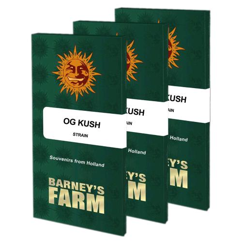 BARNEY'S FARM - OG KUSH FEM - 10 SEMI