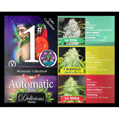 DELICIOUS SEEDS - AUTOMATIC # 1 - AUTO COLLECTION - 9 SEMI
