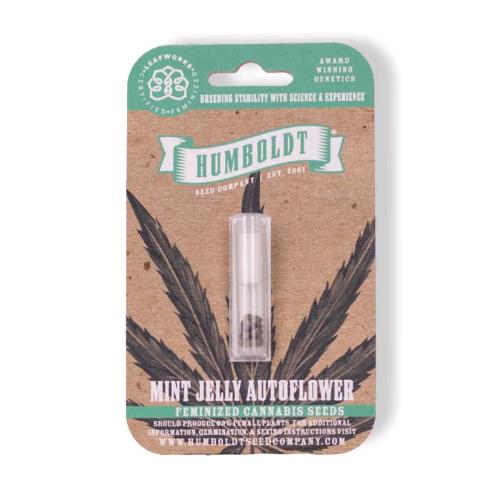 HUMBOLDT SEED COMPANY - MINT JELLY AUTO - 3 SEMI