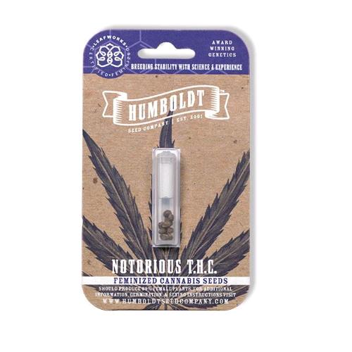 HUMBOLDT SEED COMPANY - NOTORIOUS THC FEM - 10 SEMI