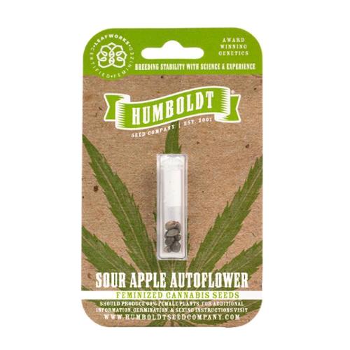 HUMBOLDT SEED COMPANY - SOUR APPLE AUTO - 10 SEMI