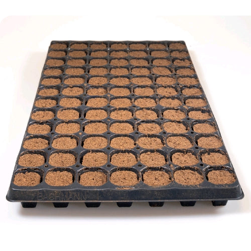 PLAGRON - NEXTGEN GROWPLUG - VASSOIO DA 84 PLUG - SIGILLATO