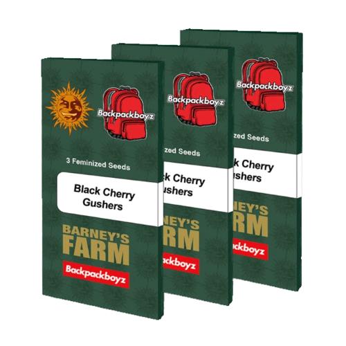 BARNEY'S FARM X BACKPACKBOYZ - BLACK CHERRY GUSHERS - 10 SEMI