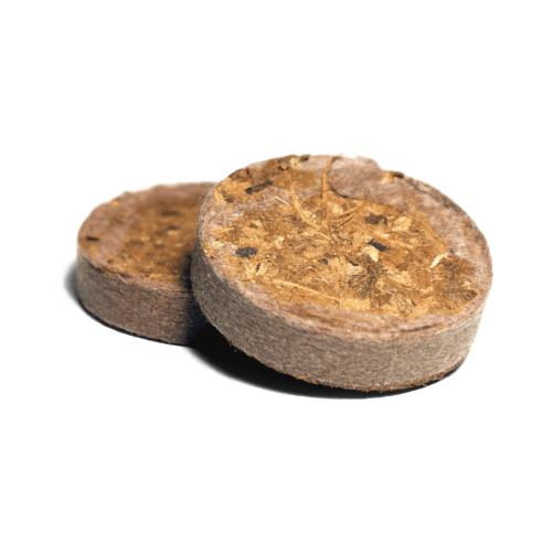 UGRO - PLUG RHIZA BULK 38MM - 75ML - BOX 1000 PZ