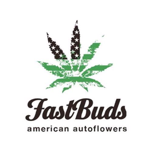 FAST BUDS - TANGIE'MATIC AUTO - 1 SEME