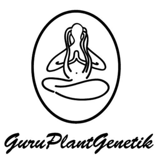 GURU PLANT - SPECIAL SAT - LIMITED EDITION - 10 SEEDS