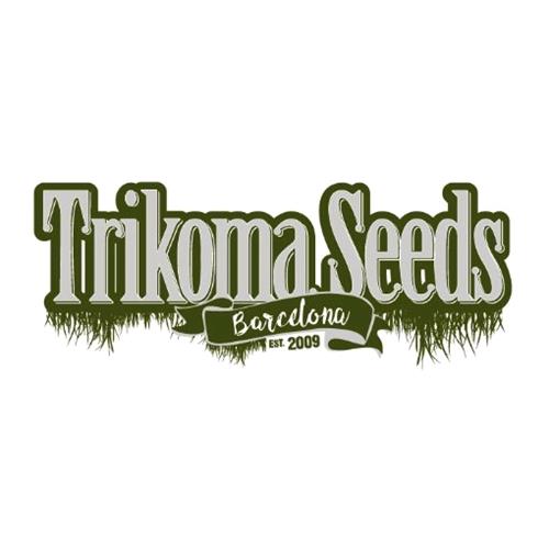 TRIKOMA SEEDS - TOTAL CHEESE FEM - 5 SEMI