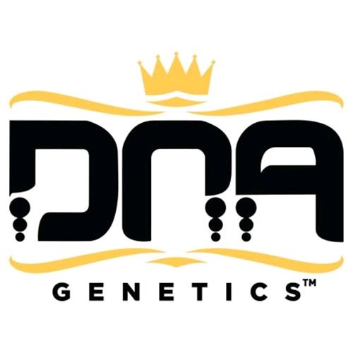 DNA GENETICS - BAKERS DELIGHT FEM - 6 SEMI