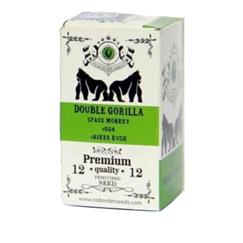 NO BORDER SEEDS - DOUBLE GORILLA - 6 SEMI - PREMIUM QUALITY