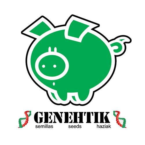 GENEHTIK - SUPER SILVER BILBO - 1 SEME