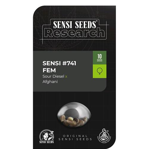 FINO A ESAURIMENTO SCORTE SENSI SEEDS - SENSI #741 FEM - 5 SEMI