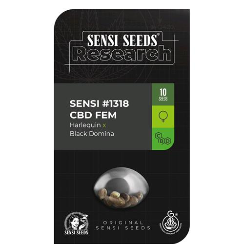 FINO A ESAURIMENTO SCORTE SENSI SEEDS - SENSI #1318 CBD FEM - 3 SEMI