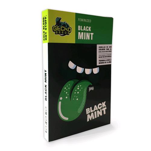 GECKO SEEDS - BLACK MINT FEM - 3 SEMI