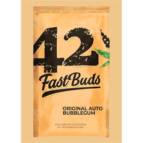 FAST BUDS - BUBBLE GUM AUTO - 5 SEMI