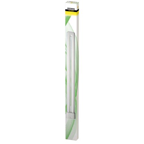 SECRET JARDIN - TUBO NEON TCL 55W GROWING 6500°K