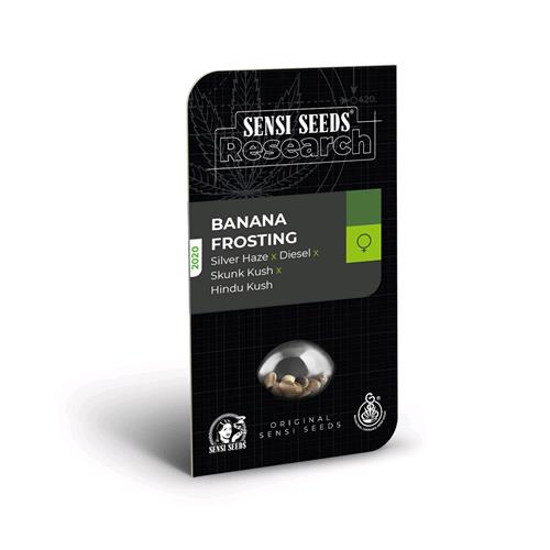 SENSI SEEDS - BANANA FROSTING FEMMINIZZATA - RESEARCH - 3 SEMI