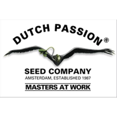 DUTCH PASSION - BLUEBERRY AUTO - 100 SEMI
