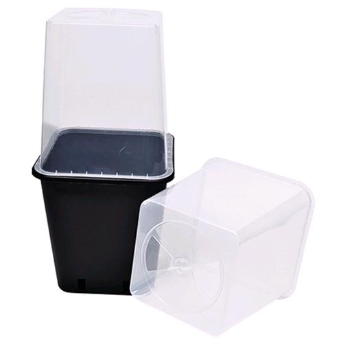 VASO SERRA PER VASO 11L