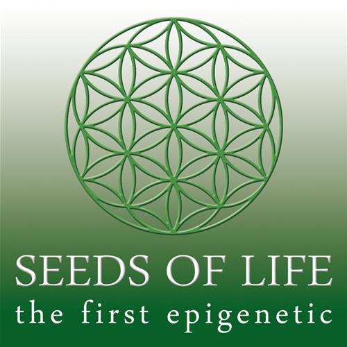 SEEDS OF LIFE - SOL HAZE AUTOFIORENTE - 1 SEME