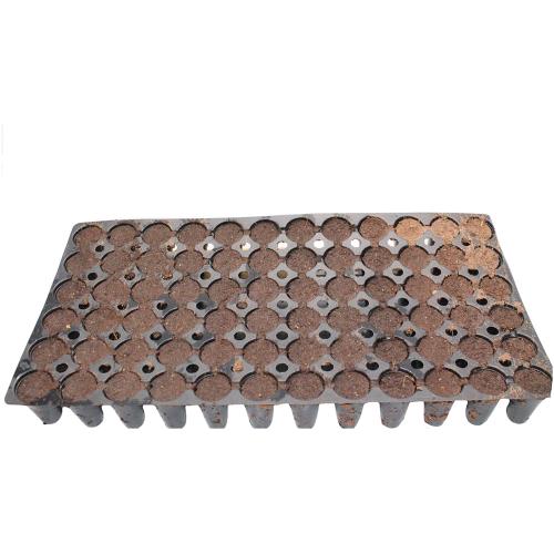 SU ORDINAZIONE - MINIMO 210 PZJIFFY - PREFORMA VASSOIO PER GERMINAZIONE DA 66 CUBI - 55X31.5X5.5