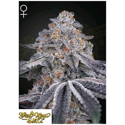 GREEN HOUSE - VELVET MOON FEM - 3 SEMI