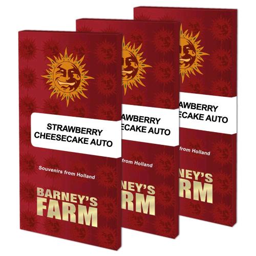 BARNEY'S FARM - STRAWBERRY CHEESECAKE AUTO - 3 SEMI