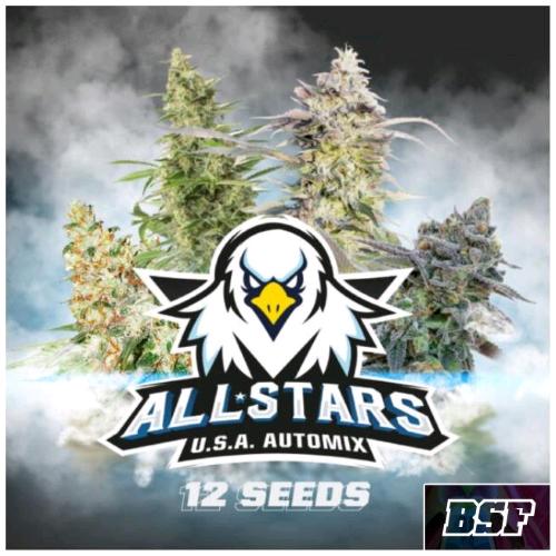 BSF - ALL STAR USA AUTOMIX - PACK 12 SEMI